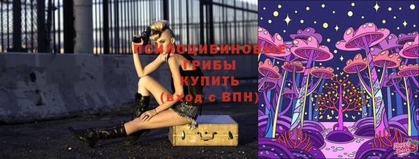 мескалин Кулебаки