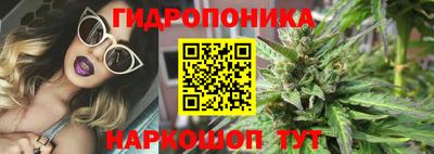 дурь Будённовск