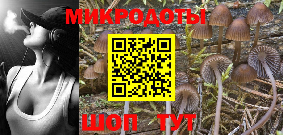 Галлюциногенные грибы мухоморы Москва