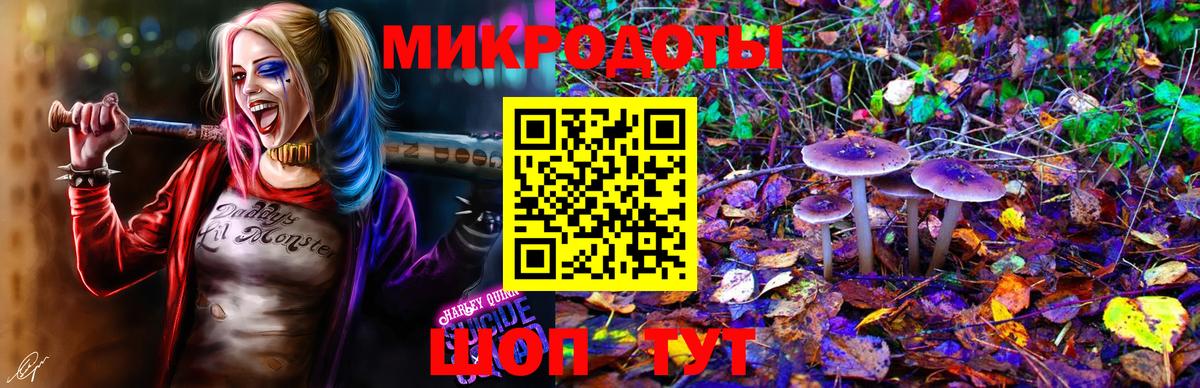 Галлюциногенные грибы мицелий  Вход с VPN  Москва 