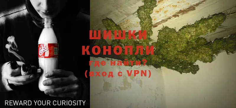 Каннабис OG Kush  Москва 